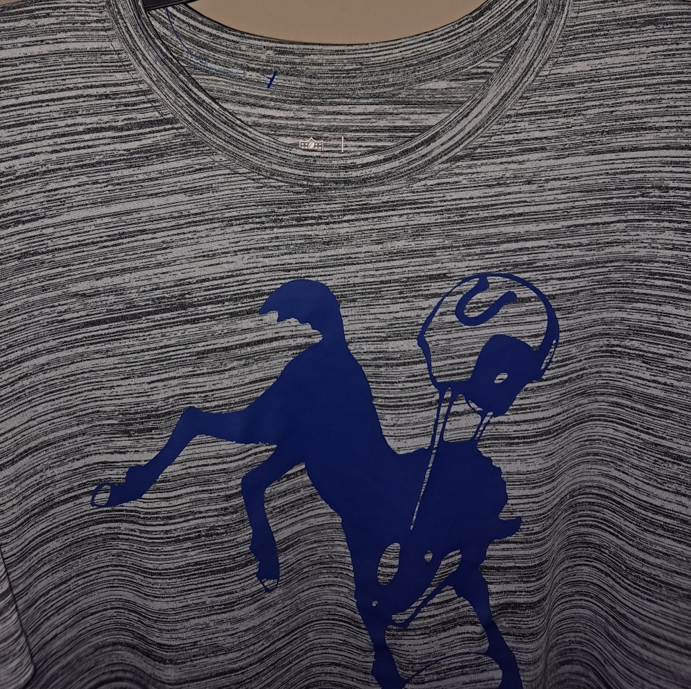 🏈 VTG NIKE NFL COLTS 🏈 L/G - Picture 4 of 6